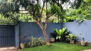 Un jardín con un camino empedrado, diversas plantas en macetas y una pared azul.