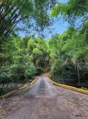 Imagen general