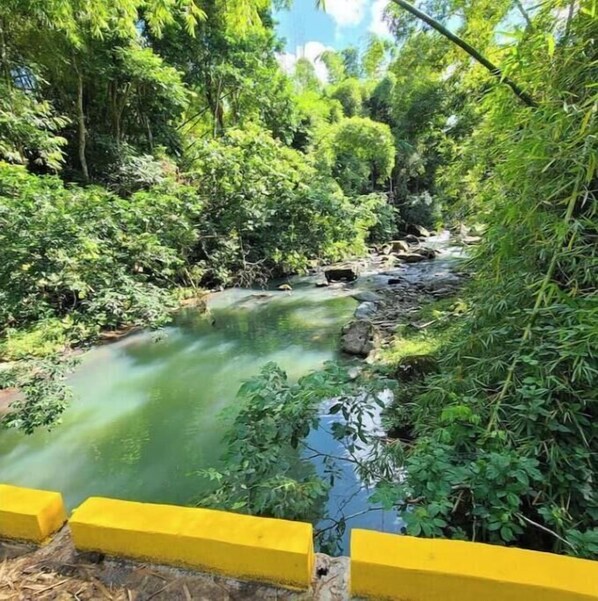 A river surrounded by dense green foliage and a yellow barrier. - Camping Tent for 2 people: Hacienda Monte Rey

 (Luquillo)