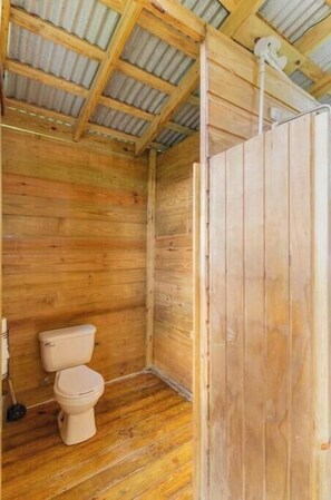 Regadera, toallas, jabón, shampoo 