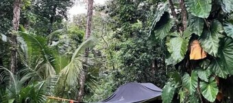 Tree Camping Tent: Hacienda Monte Rey

