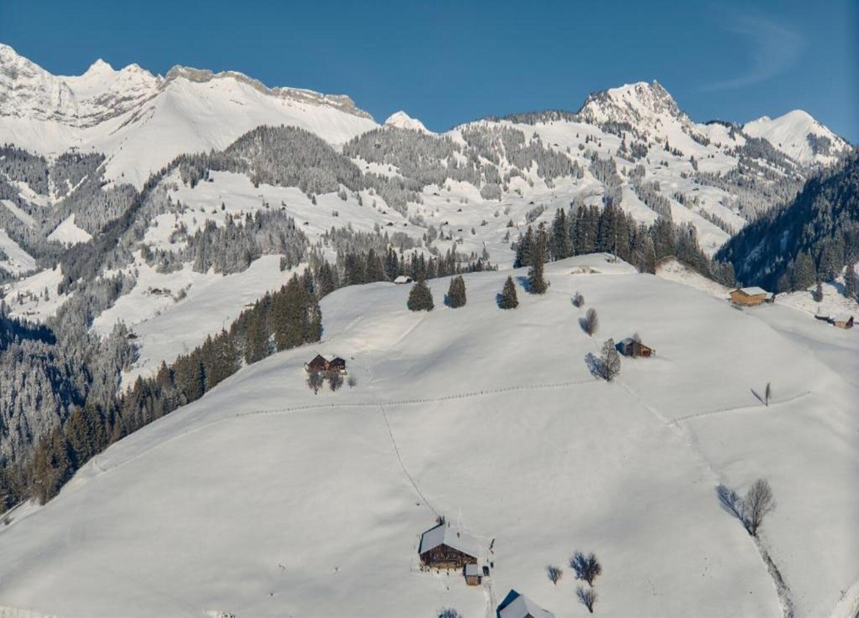 Un paysage montagneux enneigé, avec quelques bâtiments et quelques arbres.
