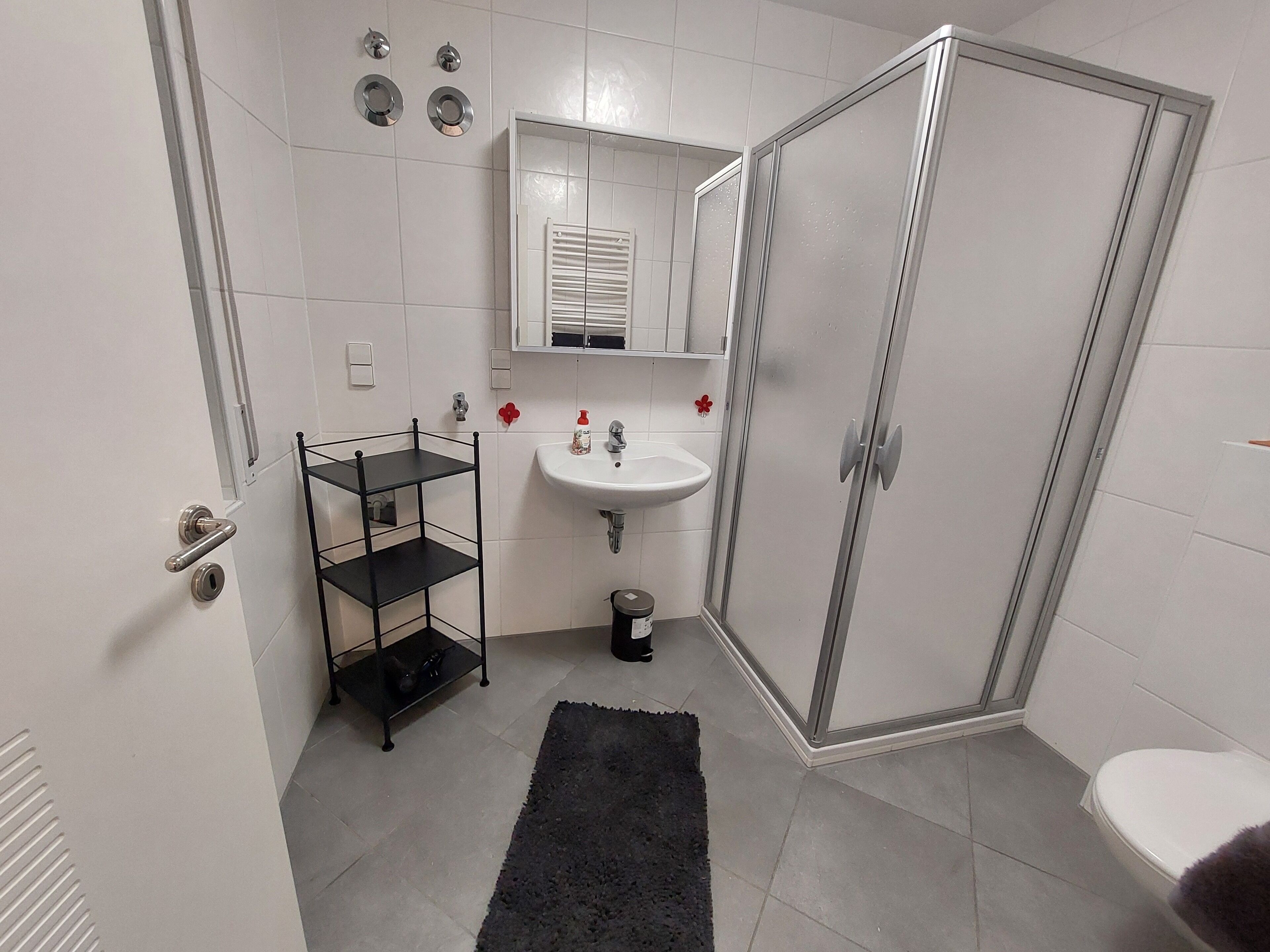 Dusche, Haartrockner, Handtücher, Seife