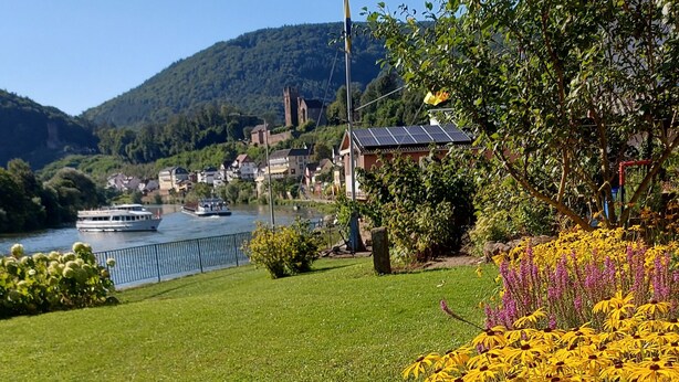 Zona verde con flores amarillas y un río con barcos.