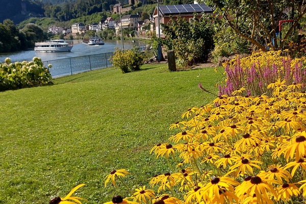 Blick von der Terrasse auf die vier Burgen und den Neckar