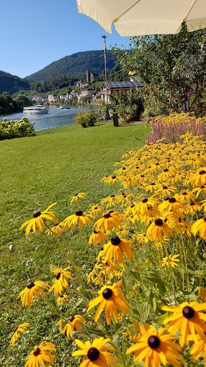 Uma área gramada com flores amarelas e um rio com barcos.
