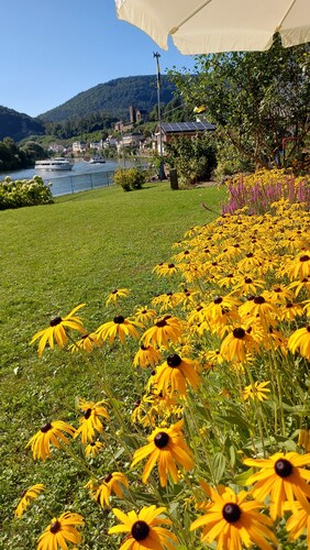 Neckar idyll with castle view in an upscale apartment and covered terrace