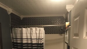 Une salle de bain avec un rideau de douche à rayures, des toilettes et une baignoire.