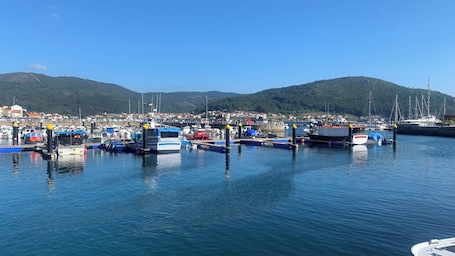 ์ํํธ, ๋ฐ์ฝ๋, ๋ง๋ฆฌ๋ ์ ๋ง | ๊ฐ์ค์์ ๋ณด์ด๋ ์ ๋ง