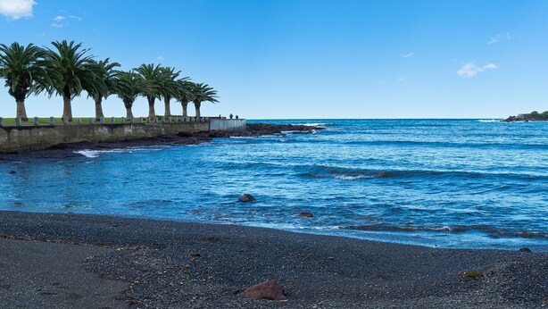 A coastal walkway with palm trees, a rocky shoreline, and the ocean.