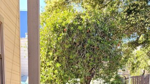 Unclassified image, 5 of 9, button - Charming 1-bedroom cottage with AC near Piedmont and Lake Merritt. Pet friendly! (Oakland)