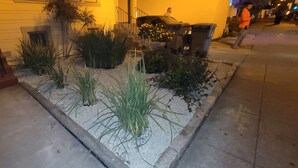 A garden area with various plants and a trash bin. - Charming 1-bedroom cottage with AC near Piedmont and Lake Merritt. Pet friendly! (Oakland)