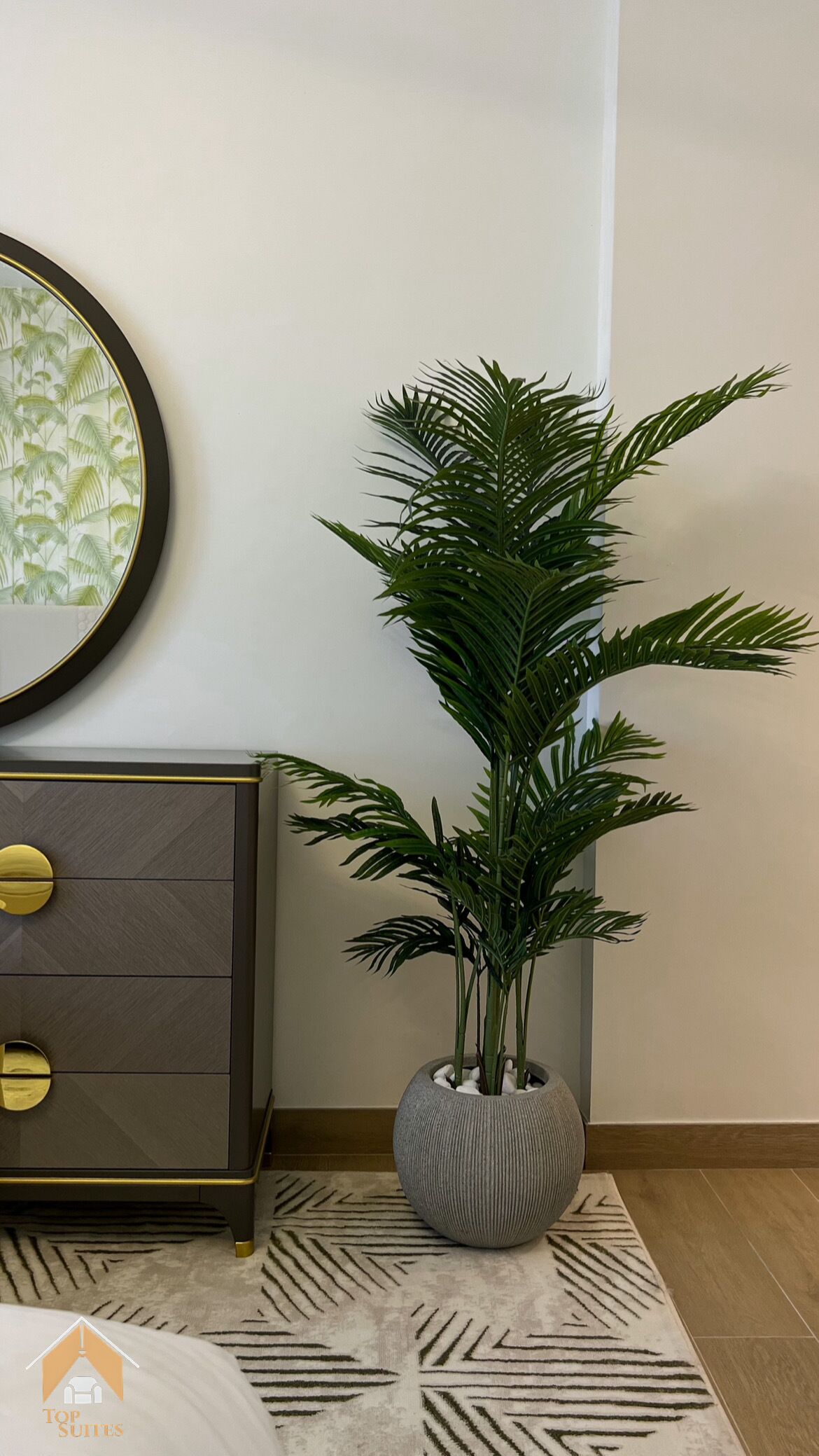 A room with a grey cabinet with gold handles, a round mirror with a floral frame, and a tall potted plant with green leaves.