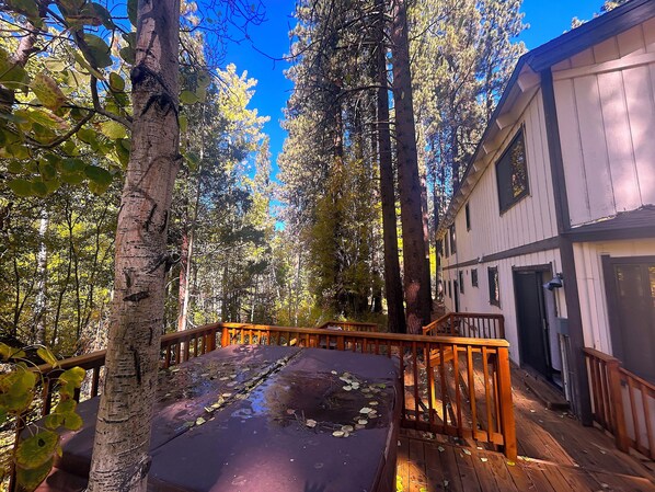 Terrace/patio - Walk to Heavenly! (South Lake Tahoe)