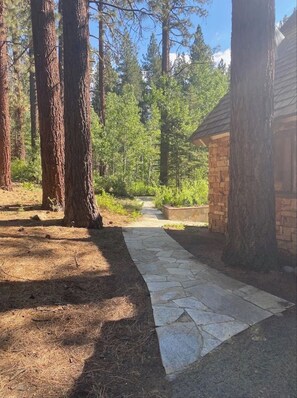 Property grounds - Walk to Heavenly! (South Lake Tahoe)