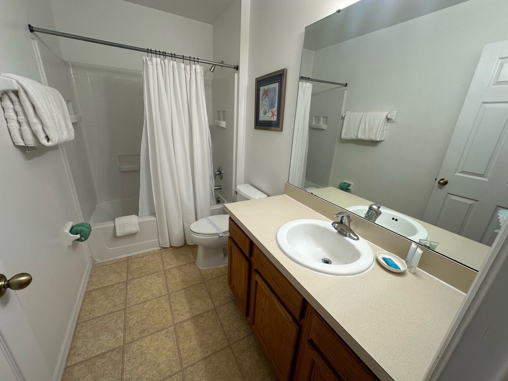 A bathroom with a shower, toilet, sink, and mirror.