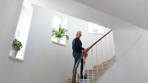 A person descending a staircase with white railings and beige steps. There are two potted plants on the walls. - Charming 2-bedroom apartment with WiFi, AC in lovely Dubrovnik (Dubrovnik)