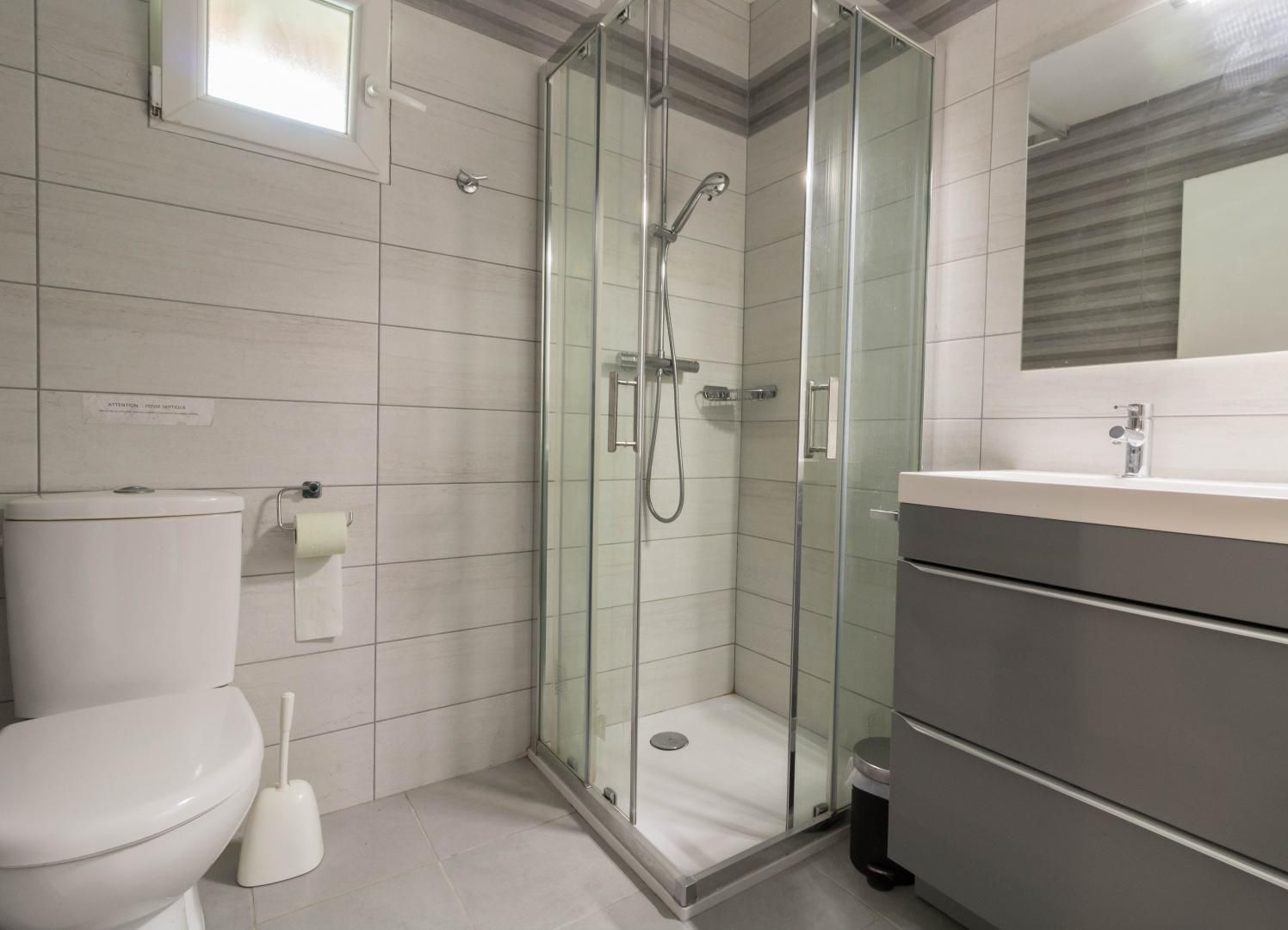A modern bathroom with a glass-enclosed shower, a toilet, and a vanity with a mirror.