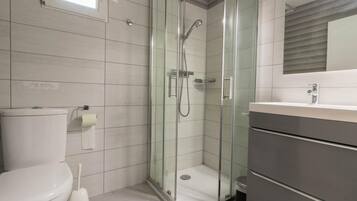 A modern bathroom with a glass-enclosed shower, a toilet, and a vanity with a mirror.