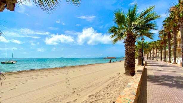 Une plage avec une promenade dallée bordée de palmiers, une étendue de sable et des bateaux sur l’eau.