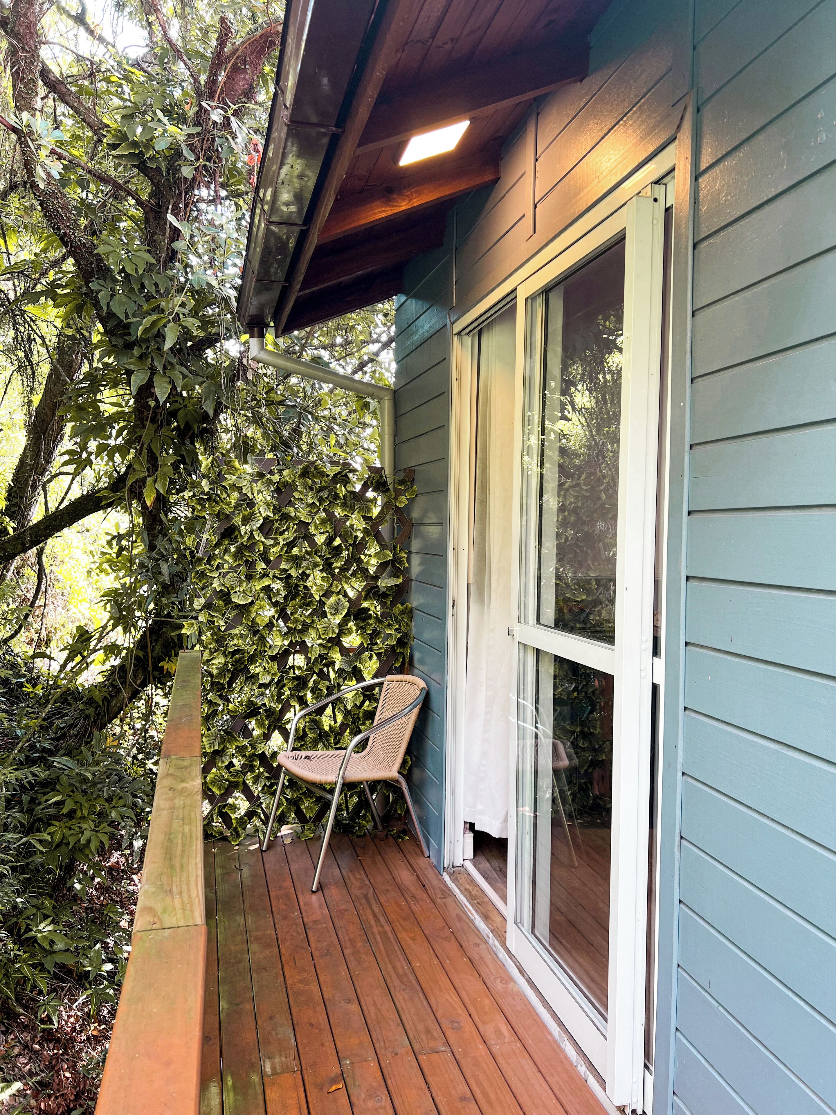 A wooden deck with a chair, a window, and a wall covered in climbing plants.