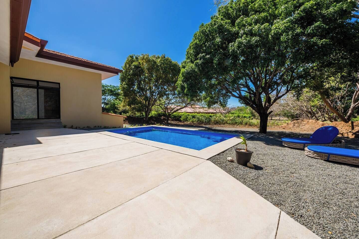 Una piscina con un borde de baldosas, un pequeño árbol y una silla de descanso azul.