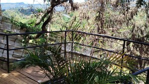 A wooden deck with a metal railing overlooking a lush landscape. - Omghat (El Peñol)