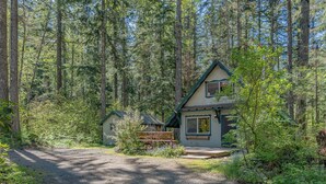 A cabin with a dirt path leading to it, surrounded by dense forest. - Rainier's Iconic Cabin with Forest Views-WiFi-Hot Tub (Ashford)