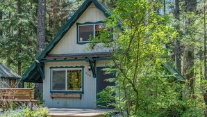 A cabin with a gabled roof, a porch, and a number '258' on the door. - Rainier's Iconic Cabin with Forest Views-WiFi-Hot Tub (Ashford)