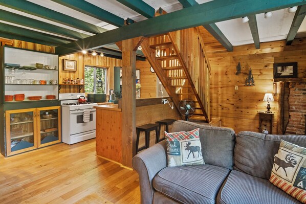 Smart TV, fireplace, books