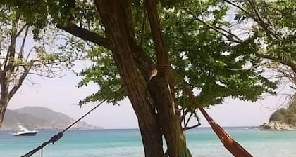 HOSTAL OLAS CLUB DE NEGUANJE - P TAYRONA