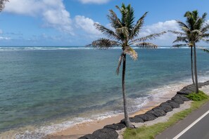 On the beach - Palm Cottage-Beach across the street, Ocean Views (Hauula)