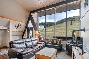 Smart-TV, Kamin