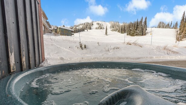 A hot tub with a snowy landscape in the background.