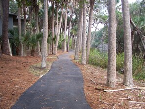 Property grounds - SNOWBIRDS @ Kiawah Island 3BD, 2BA (Johns Island)