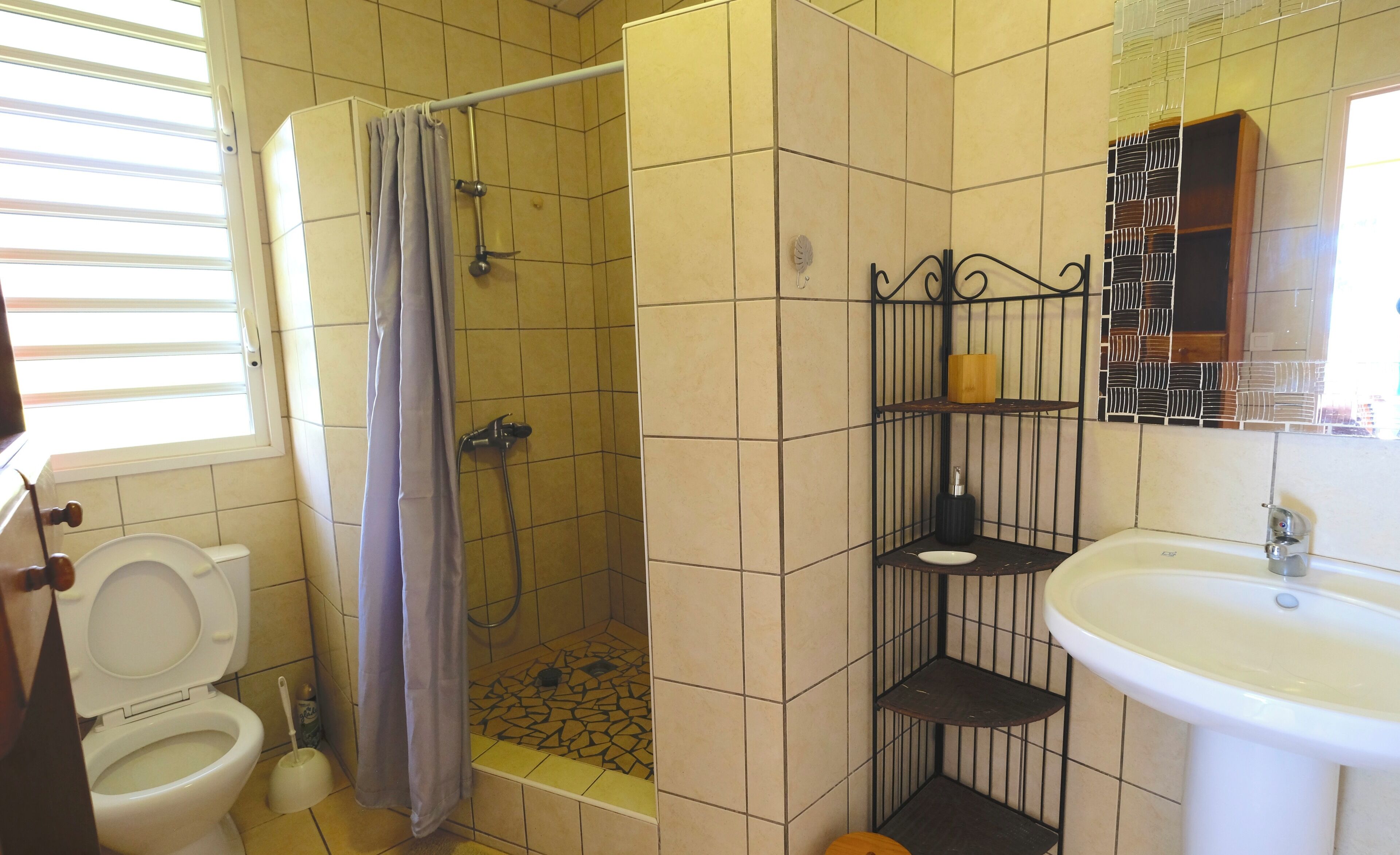 Een badkamer met toilet, douche en wastafel.
