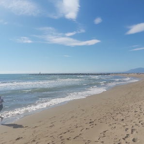 On the beach