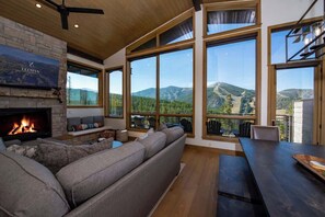TV, fireplace, video games, stereo