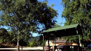 Un espacio al aire libre cubierto con una mesa y barriles, rodeado de árboles y un edificio al fondo.