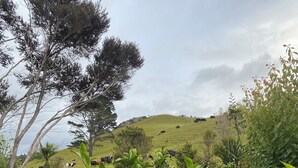 A lush green landscape with a hill in the background and a variety of vegetation in the foreground. - Back to Basics at Iconic Wharekaho Bay (Simpsons Beach) Whitianga (Wharekaho)