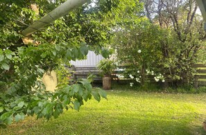 Property grounds - Back to Basics at Iconic Wharekaho Bay (Simpsons Beach) Whitianga (Wharekaho)