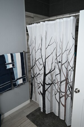 Shower, hair dryer, bidet, towels