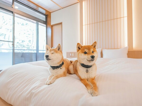 3 bedrooms, desk, free WiFi, bed sheets