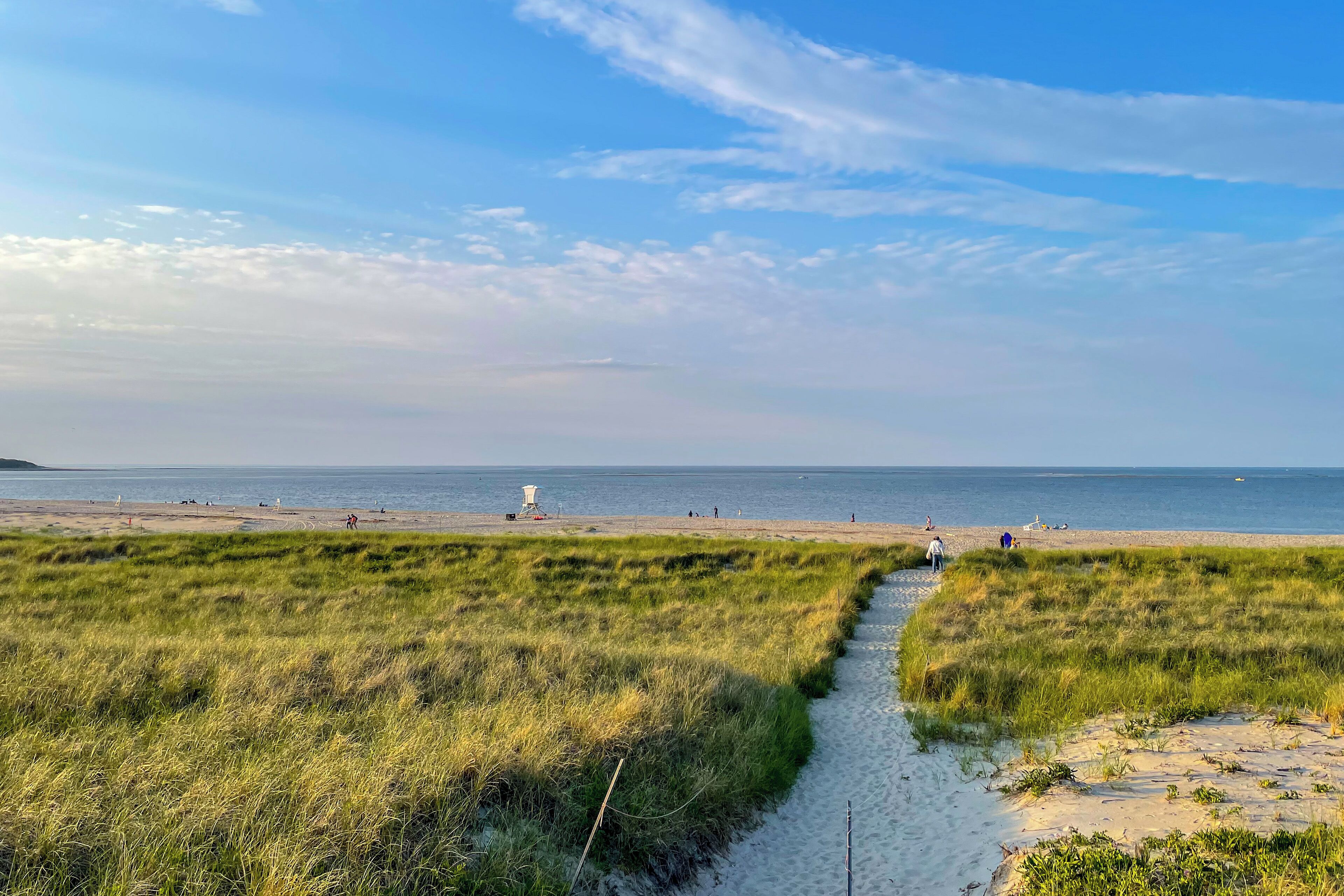 A beach with a grassy path leading to the water, a lifeguard tower, and people in the distance.