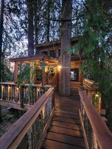 Kalptaru Treehouse Retreat