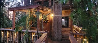 Kalptaru Treehouse Retreat