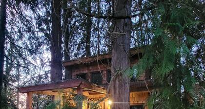 Kalptaru Treehouse Retreat