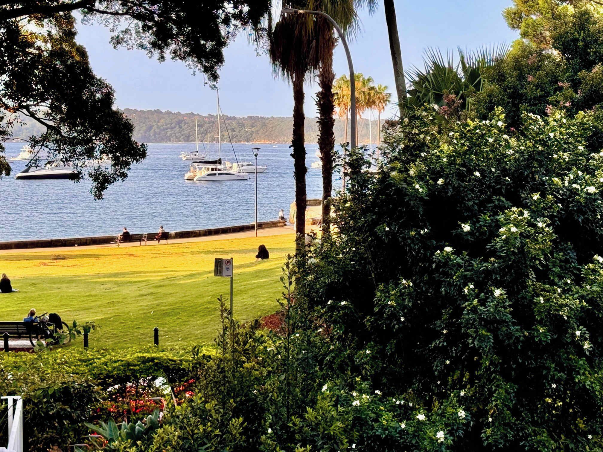 View out to Elizabeth Bay from balcony