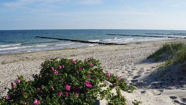 A beach with sand, water, and a pier. - Apartment 'Ferienwohnung Baltic Sea' with Private Terrace, Private Garden and Wi-Fi (Börgerende-Rethwisch)