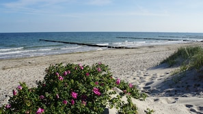 A beach with sand, water, and a pier.